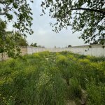 Satılır Torpaq, Goradil, Abşeron rayonu 6