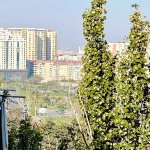 Kirayə (aylıq) 2 otaqlı Köhnə Tikili, Elmlər akademiyası metrosu, Yasamal rayonu 14