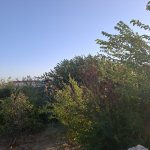 Satılır 8 otaqlı Həyət evi/villa, Lökbatan qəs., Qaradağ rayonu 6