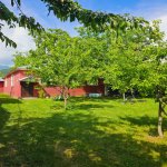 Kirayə (günlük) 5 otaqlı Həyət evi/villa Qəbələ 7