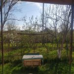 Satılır 3 otaqlı Həyət evi/villa Sumqayıt 7