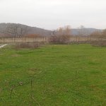 Satılır Torpaq Qəbələ 16