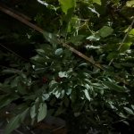 Продажа 3 комнатная Дома/Виллы, НЗС, Хетаи район 15