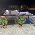 Kirayə (günlük) 4 otaqlı Həyət evi/villa Qəbələ 21