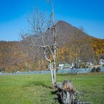 Satılır Torpaq Qəbələ 2