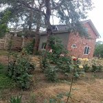 Аренда 2 комнатная Дома/Виллы Губа 4