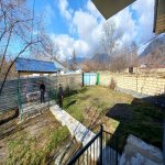 Kirayə (günlük) 3 otaqlı Həyət evi/villa Qəbələ 4