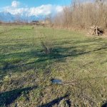 Satılır Torpaq Oğuz 4