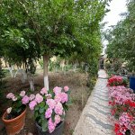 Satılır 4 otaqlı Həyət evi/villa, Pirallahı, Pirallahı rayonu 9