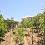 Satılır 9 otaqlı Həyət evi/villa, Bilgəh qəs., Sabunçu rayonu 31