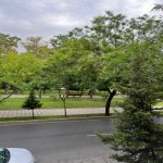 Kirayə (aylıq) 3 otaqlı Köhnə Tikili, Gənclik metrosu, Dədə Qorqud parkı, Nəsimi rayonu 13