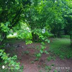 Продажа Участок Гябяля 2