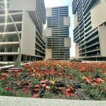 Satılır 4 otaqlı Yeni Tikili, 20 Yanvar metrosu, Yasamal rayonu 2