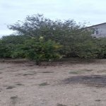Satılır 3 otaqlı Həyət evi/villa, Buzovna, Xəzər rayonu 4