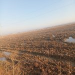 Satılır Torpaq, Pereküşkül, Abşeron rayonu 4