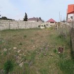 Satılır Torpaq Xızı 3