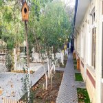 Kirayə (aylıq) Obyekt, Azadlıq metrosu, Binəqədi rayonu 1