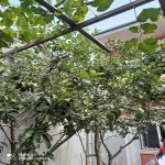 Satılır 4 otaqlı Həyət evi/villa Xırdalan 23