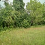 Продажа Участок Гябяля 6
