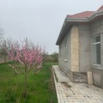 Satılır 4 otaqlı Həyət evi/villa Xaçmaz / Xudat 2