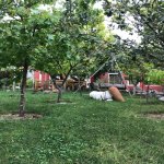Satılır 4 otaqlı Bağ evi, Novxanı, Abşeron rayonu 28