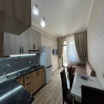 Kirayə (aylıq) 2 otaqlı Yeni Tikili, Nəriman Nərimanov metrosu, Nərimanov rayonu 3