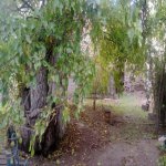 Продажа 3 комнатная Дома/Виллы, пос. Бюльбуля, Сураханы район 22