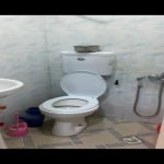 Kirayə (aylıq) 1 otaqlı Həyət evi/villa, Elmlər akademiyası metrosu, Yasamal qəs., Yasamal rayonu 7
