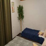 Kirayə (günlük) 3 otaqlı Həyət evi/villa Qəbələ 18