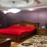 Kirayə (aylıq) 2 otaqlı Yeni Tikili, Nəriman Nərimanov metrosu, Montin qəs., Nərimanov rayonu 3
