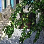 Satılır 5 otaqlı Həyət evi/villa, Avtovağzal metrosu, Biləcəri qəs., Binəqədi rayonu 4