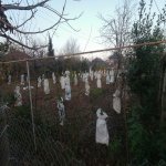 Satılır 4 otaqlı Həyət evi/villa Lənkəran 5