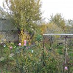 Satılır 3 otaqlı Həyət evi/villa, Ramana qəs., Sabunçu rayonu 13