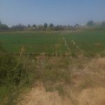 Satılır 5 otaqlı Həyət evi/villa Salyan 4