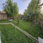 Kirayə (günlük) 3 otaqlı Həyət evi/villa Qəbələ 4