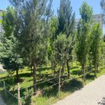 Продажа 2 комнат Новостройка, İnşaatçılar метро, пос. Йени Ясамал, Ясамал район 24