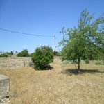 Satılır Torpaq, Səbail rayonu 3