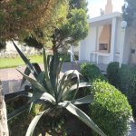 Kirayə (aylıq) 2 otaqlı Həyət evi/villa, Şüvəlan, Xəzər rayonu 2