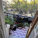 Kirayə (aylıq) 3 otaqlı Yeni Tikili, Gənclik metrosu, Nərimanov rayonu 17