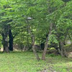 Satılır Torpaq İsmayıllı 6