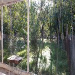Satılır 7 otaqlı Həyət evi/villa Göyçay 10
