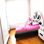 Аренда 4 комнатная Вторичка, м. Ахмедли метро, Хетаи район 4