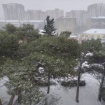 Satılır 1 otaqlı Köhnə Tikili, Qara Qarayev metrosu, Nizami rayonu 7