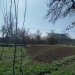 Satılır Torpaq İsmayıllı 2