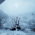 Kirayə (günlük) 3 otaqlı Həyət evi/villa Zaqatala 21