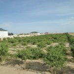 Продажа Участок, Зиря, Хязяр район 5