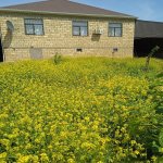 Продажа 5 комнатная Дома/Виллы, Гобу, Абшерон район 23