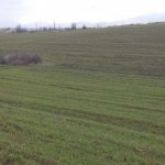 Satılır Torpaq Quba 4