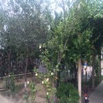 Kirayə (aylıq) 6 otaqlı Bağ evi, Novxanı, Abşeron rayonu 5