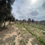 Satılır Torpaq, Mərdəkan, Xəzər rayonu 7